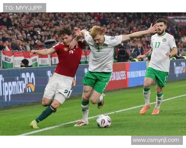 匈牙利与冰岛足球对决精彩回顾及赛后分析